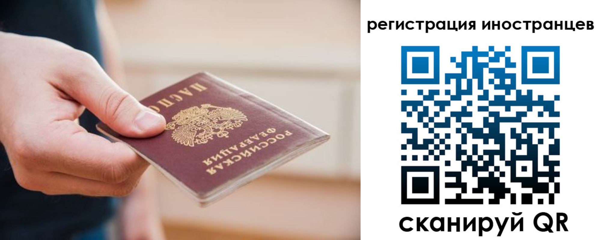 прописка гарантия в Мончегорске