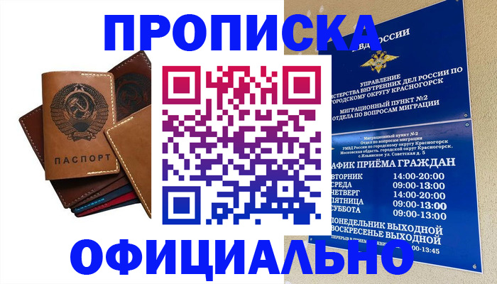 временная прописка в Мончегорске